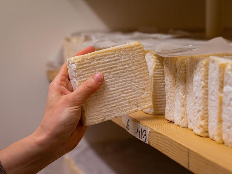 fabrication_fromages_martin_deauville_balade_a_velo_calvados