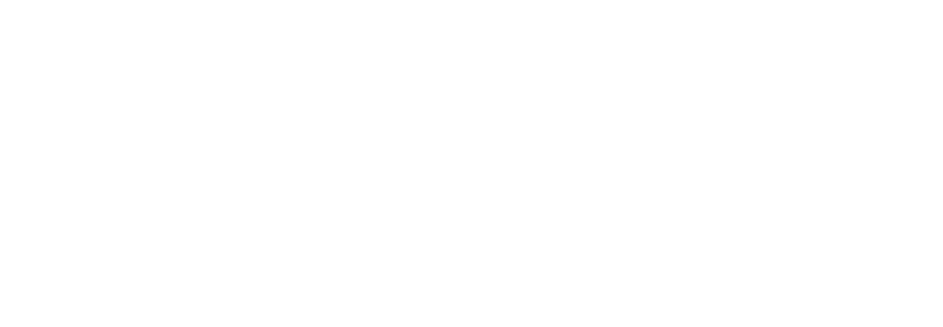 voltaire_velo_electrique_logo_deauville