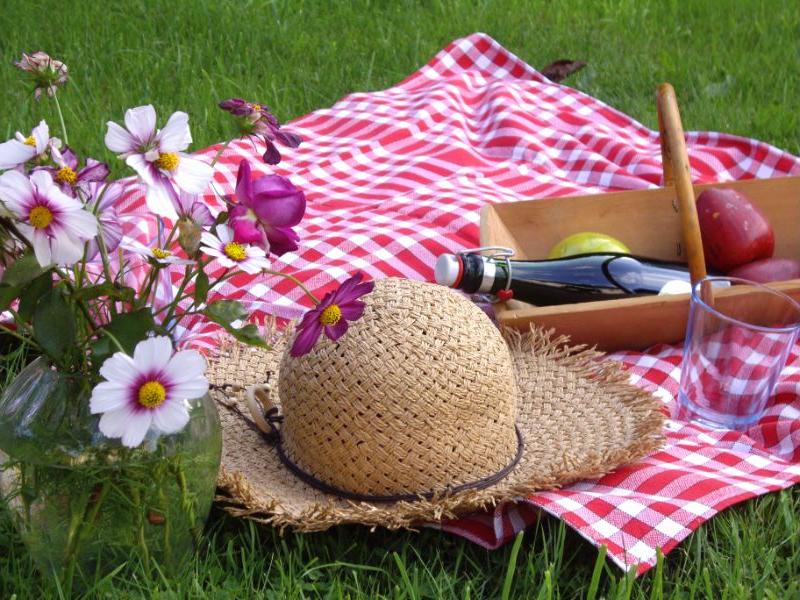 Pique_nique_nature_Calvados_Normandie_velo_electrique