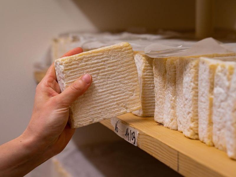 pont_leveque_fromage_ferme_martin_calvados_deauville