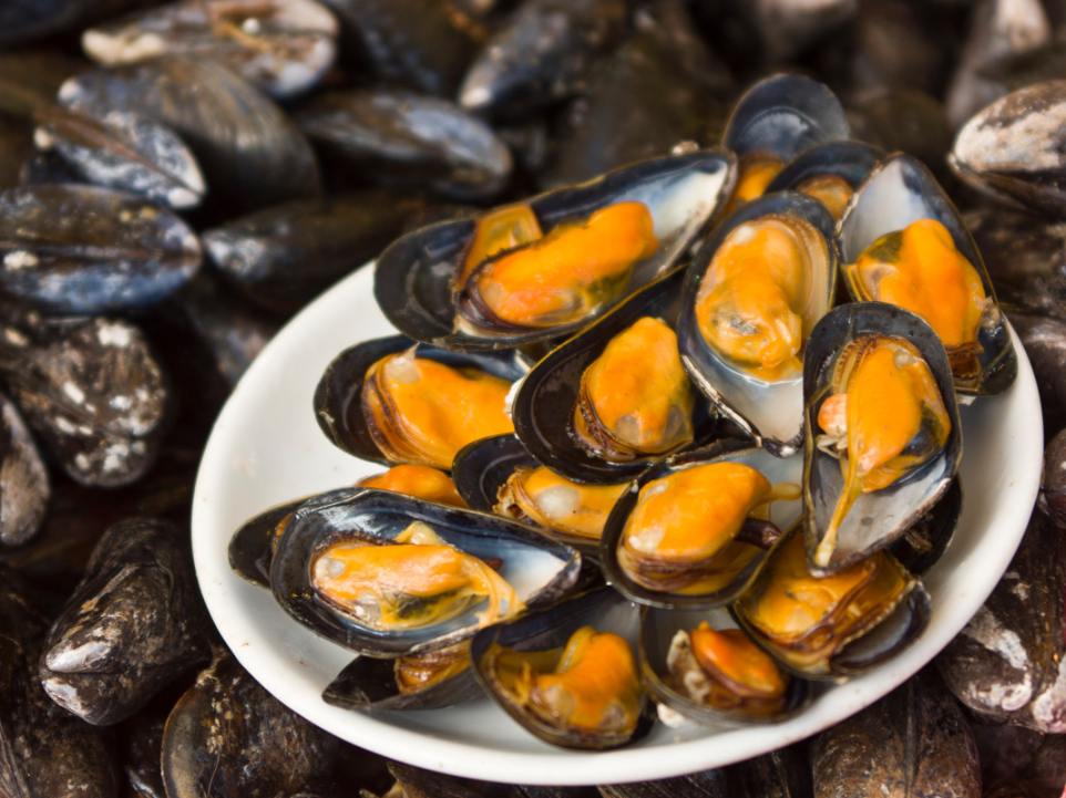 moules_deauville_normandie_spécialité