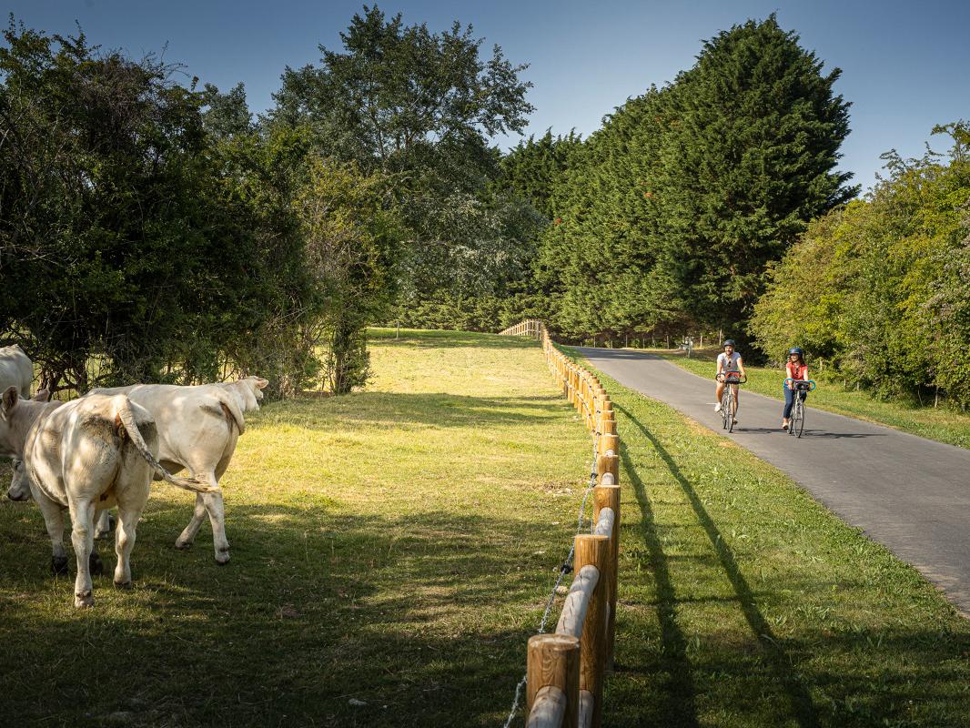 voie_verte_tourgeville_deauville_location_velos_electriques