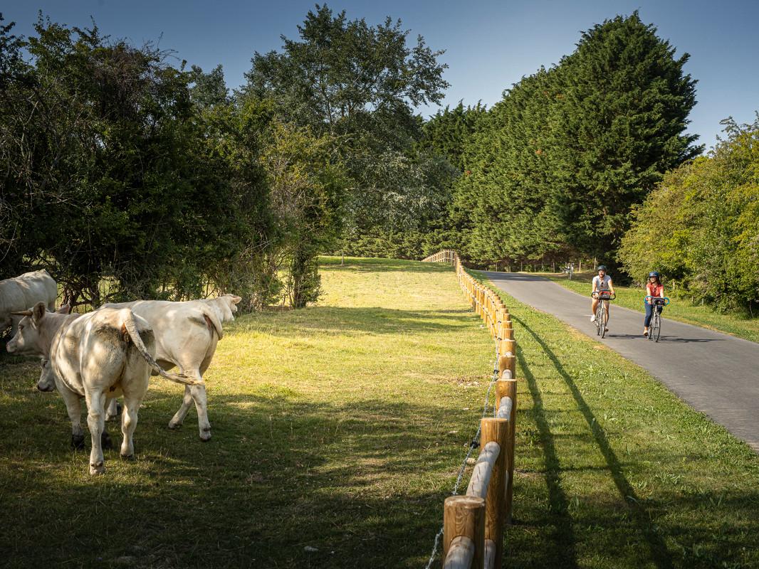 voie_verte_location_velo_electrique_deauville_jean_connait_un_rayon