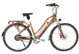 STARWAY GRAND TOURING AMBRE CADRE OUVERT (VAE)